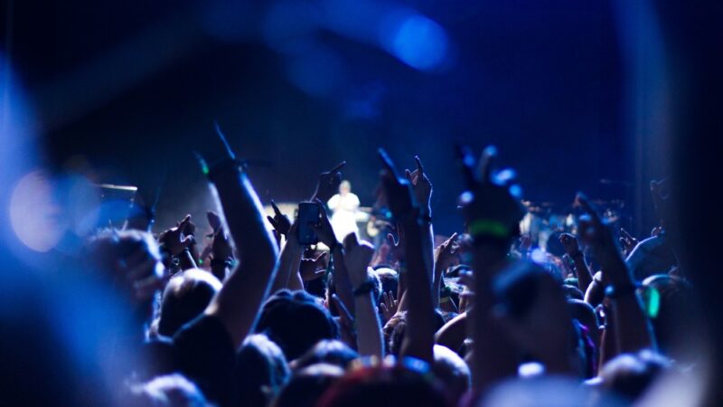 11. Festiwal Róż w Łasku – zaproszenie dla wystawców
