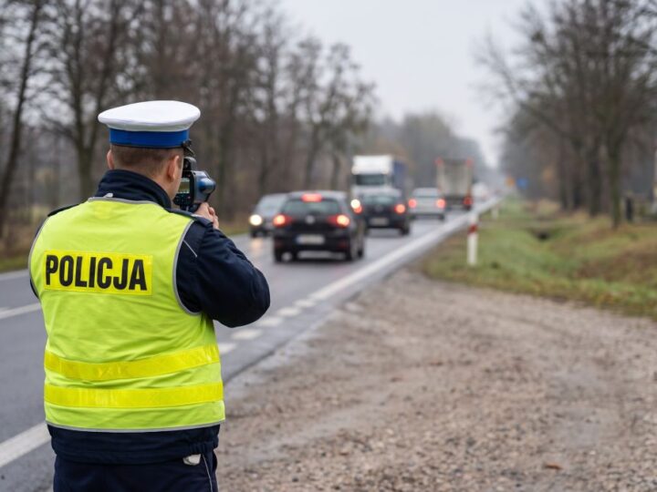 Niesprawne światło ujawnia kierującą z dwoma zakazami prowadzenia pojazdów