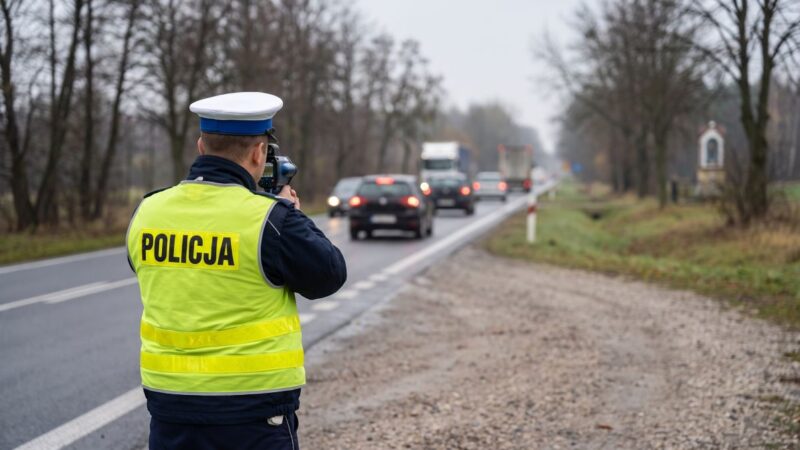 Niesprawne światło ujawnia kierującą z dwoma zakazami prowadzenia pojazdów
